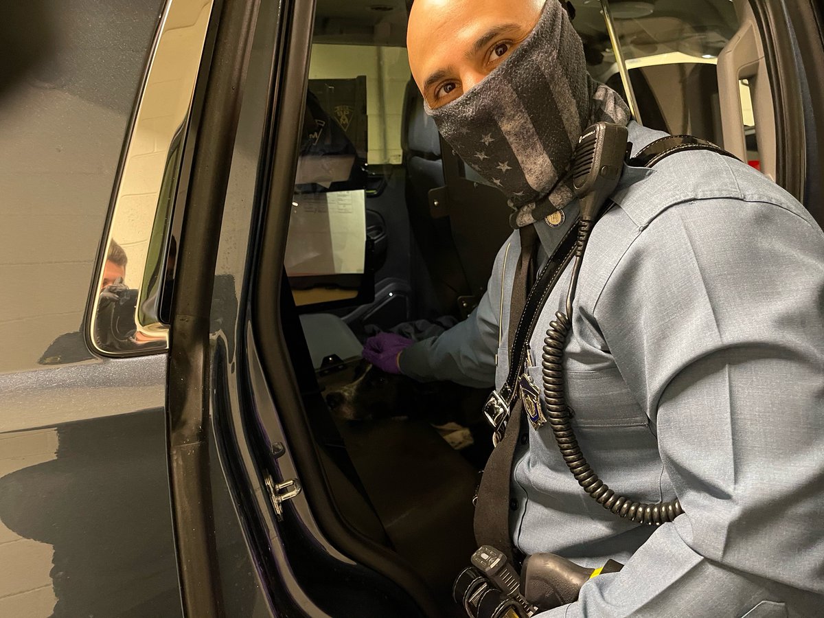 MassStatePolice's tweet image. At 6:00 p.m. tonight Trooper Ziad Kamel rescued this poor thing on Route 2 West bound in the left lane in Arlington. If anyone knows who this dog belongs to please contact Arlington PD animal control at (781) 316-3950 or the Arlington Police at (781) 643-1212