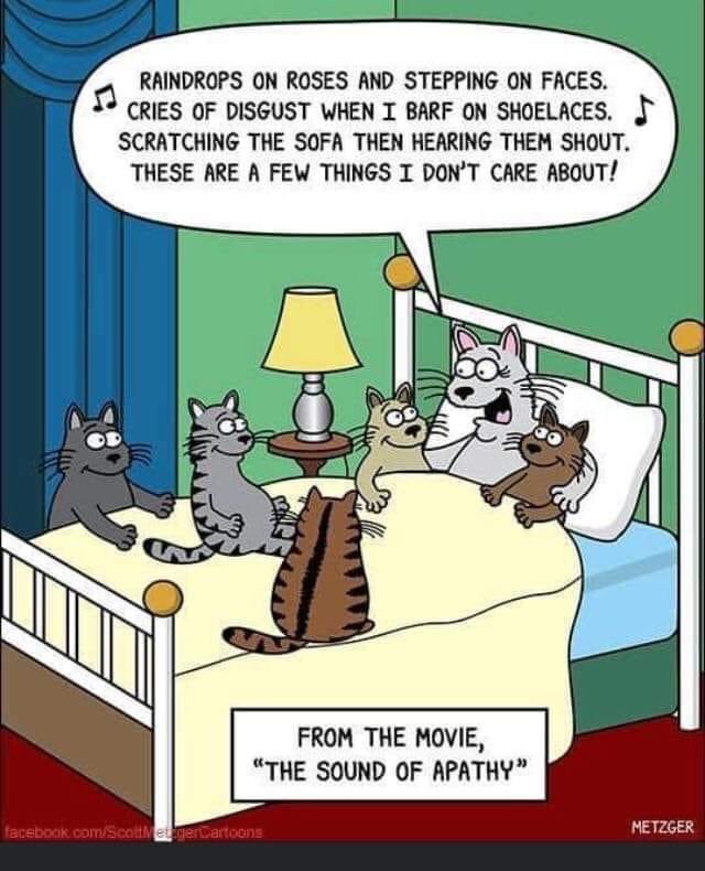 JudyAnnD's tweet photo. Just a funny I saw. #cattails #harmony https://t.co/KLfM4znjcU
