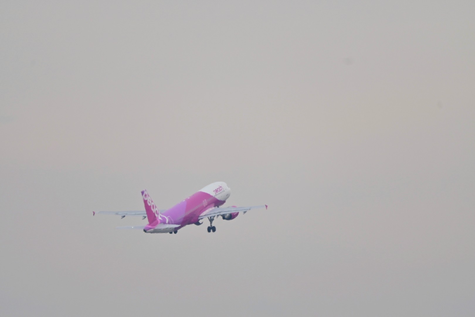 中部国際空港セントレア Peachの初便 Mm461便は無事新千歳へ出発しました 本日よりセントレア就航です 行ってらっしゃい T Co Vojcujtz7b Twitter