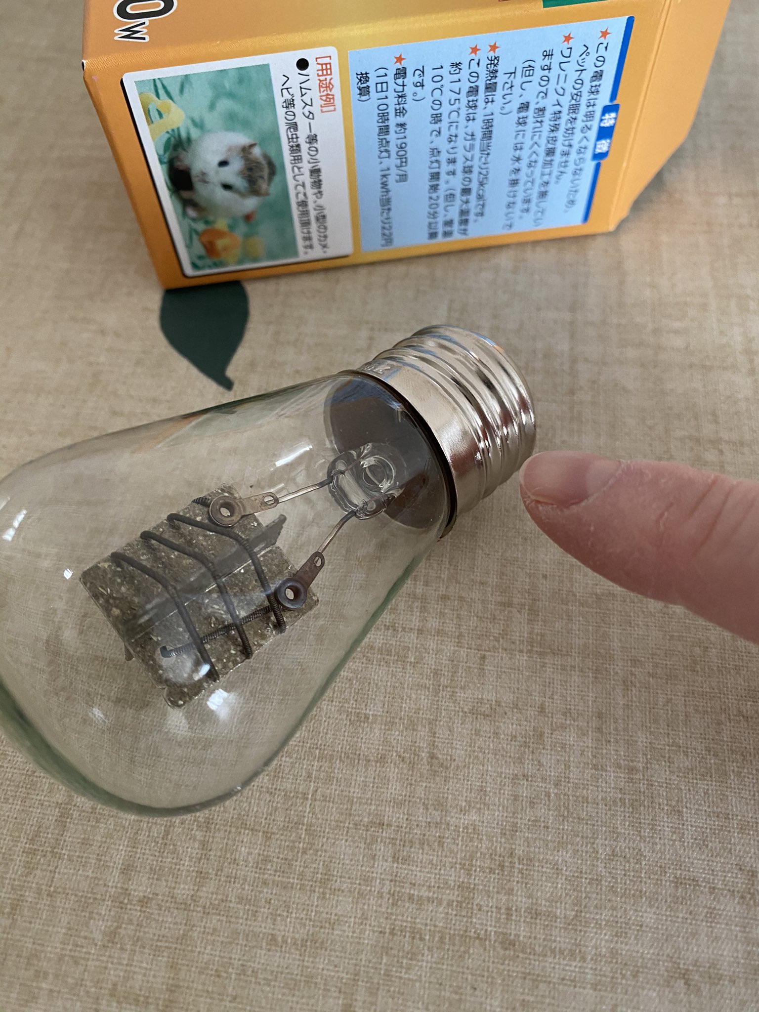ぴんふ 電球からカラカラ音がしませんか 電球取り付け部 上の銀色部分 にゴミが入っているような感じの音です 保温電球 ペットヒーター T Co Xhdvxn5wcz Twitter