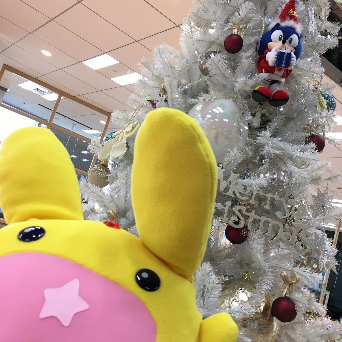 ぷよぷよ クエスト公式 ぷよクエ در توییتر 本日12 24 木 は クリスマスイブ カーくんは サンタさんに何かをおねがいしたのかワクワクしているようですね みんなはサンタさんに何をおねがいしますか 素敵な クリスマス をお過ごしください ぷよ