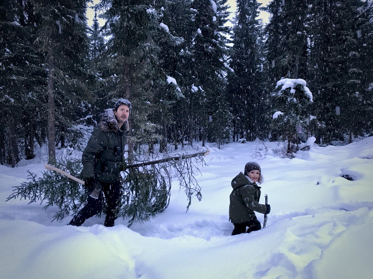 On our way home with the Christmas tree. 

Photo by Trisha