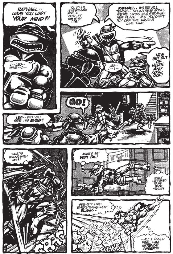 Which is funny considering how the main Mirage series, idw comic remake, and even some of the animated series would have very different and very separate reasons on why Raph is the way he is.
