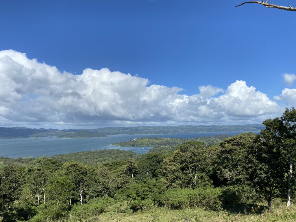 5) The more these two go up, the harder it is to keep my targeted cash level. Mathematically, this makes sense, but having never targeted a set level of de-grossing, I had not experienced this phenomenon before...