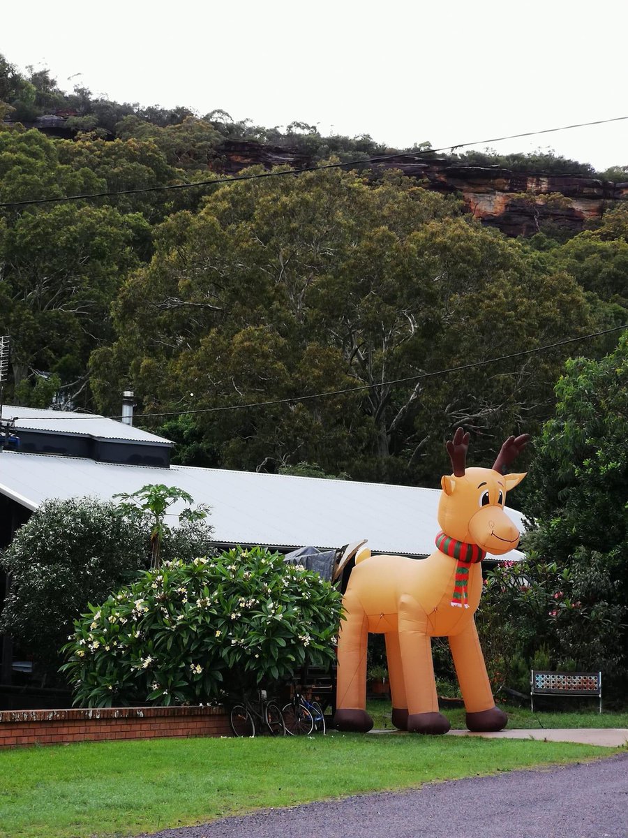 fffallingbricks's tweet image. We now have random Souths Christmas decorations. sstid.  ⁦@drballso⁩ ⁦@russellcrowe⁩ ⁦@SSFCRABBITOHS⁩