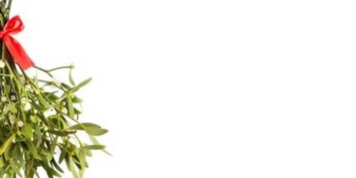 RealGojo's tweet image. Shall we ?