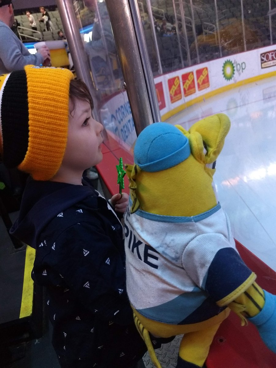 cpb_Bogs's tweet photo. Ok, trying to do some @Twitter magic here. The guys at @HKYJersey said if i can get 2000 retweets in 24 hours, they'll give this little guy a @ToledoWalleye jersey. Ollie would appreciate any help he can get! https://t.co/ubCtFAUPky