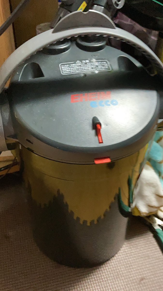 えりっち V Twitter 暇なので メイン水槽機材メモ 水槽はコトブキ60cm スリム60xx25 約30リットルと普通サイズの半分しか水量がないのでフィルター3つで強化 メインはエーハイムエココンフォート2234 サブにgex スリム外掛けmを水槽右側の底面フィルターに直結 さらに えりっち V Twitter 暇なので メイン水槽機材メモ 水槽はコトブキ60cm スリム60xx25 約30リットルと普通サイズの半分しか水量がないのでフィルター3つで強化 メインはエーハイムエココンフォート2234 サブにgex スリム外掛けmを水槽右側の底面フィルターに直結 さらに