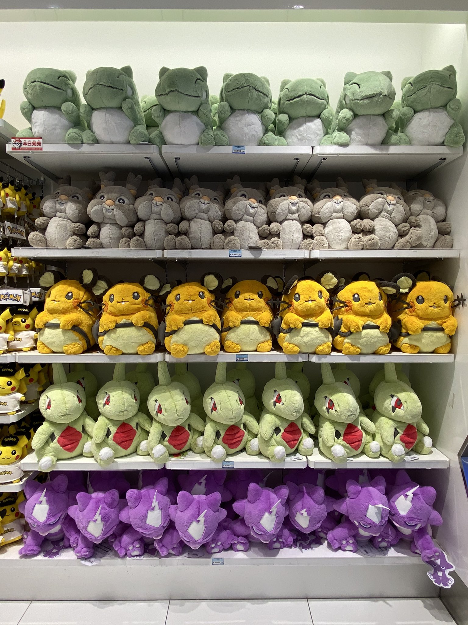 ポケモン ふわふわ抱きぬいぐるみ みがわり Www Hmotores Com
