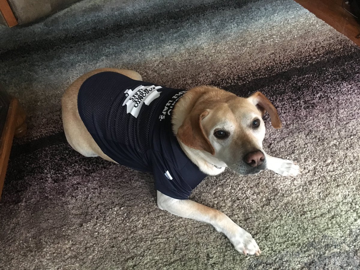 eaglenest59's tweet photo. @MapleLeafs https://t.co/daUZsaLo1F