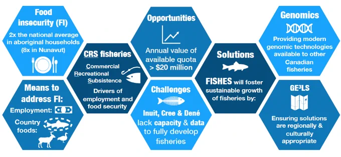 Image from FISHES (@IKGenFisheries)