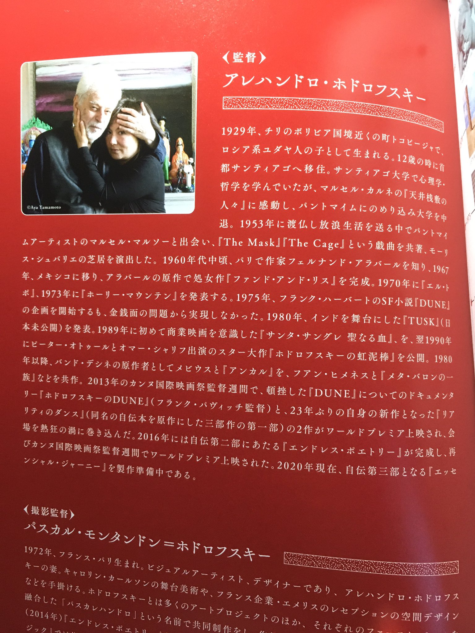 ぞん あいちトリエンナーレでの先行上映で観たので入手できてなかったパンフレットが届いた チラシまで付けていただきありがとうございます ホドロフスキーのサイコマジック