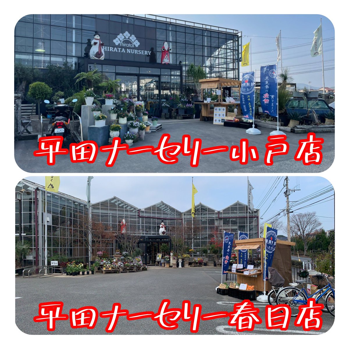 This福岡野菜 This Twitter This福岡野菜 This Twitter