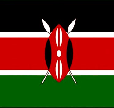 shiro🇰🇪 tweet media