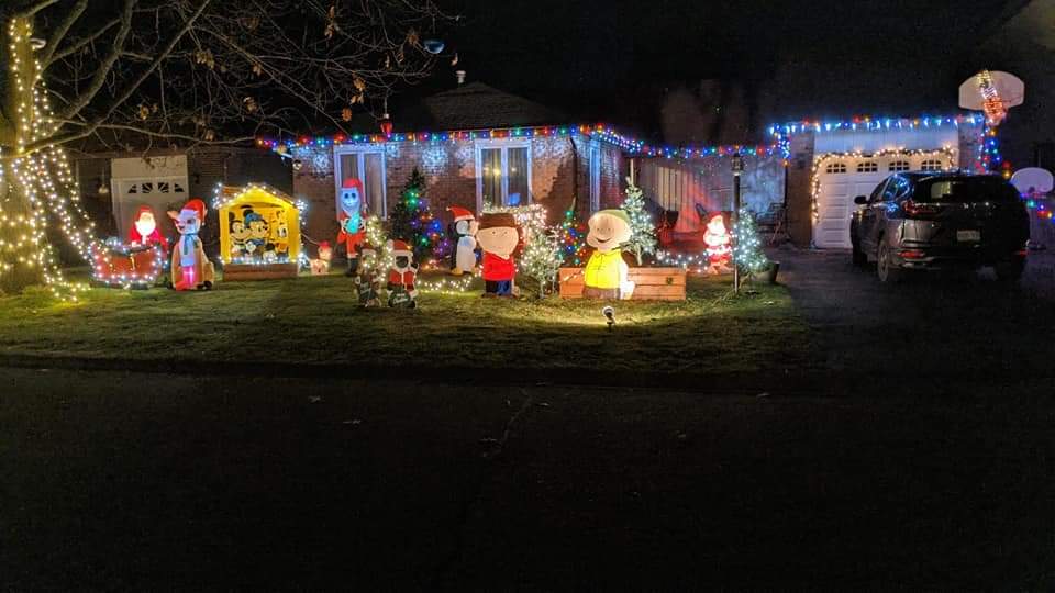 Here's our Nice lights!  #hawksleynightincanada