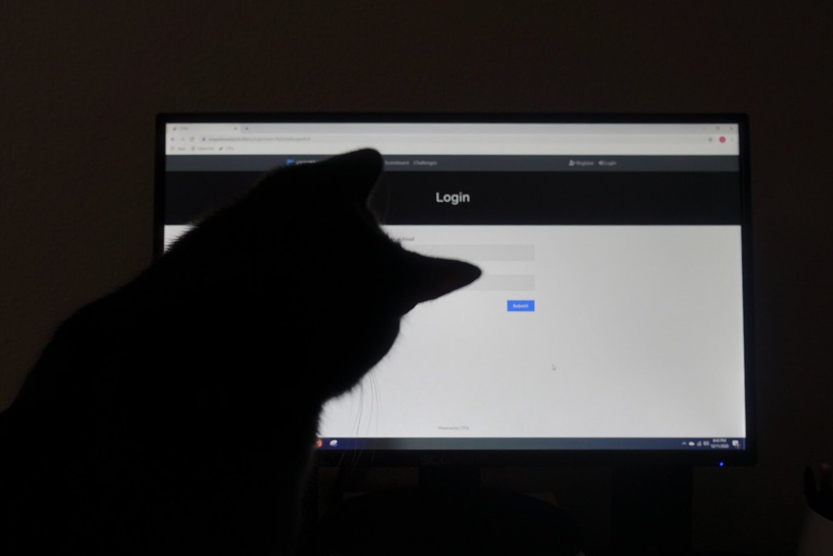 notstephtweets's tweet image. Magnet has us tilting our heads this week #MagnetWeeklyCTF #DFIR #catsoftwitter