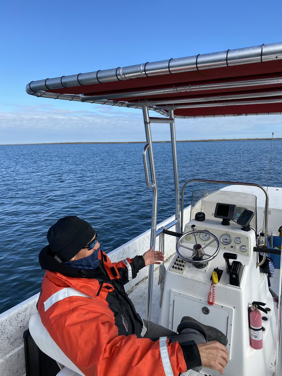 Who says boating in December is a bad idea? It was great to get out on the water to see the seagrass bed on a beautiful day. <a href="/vcrlter/">Virginia Coast Reserve LTER</a>
