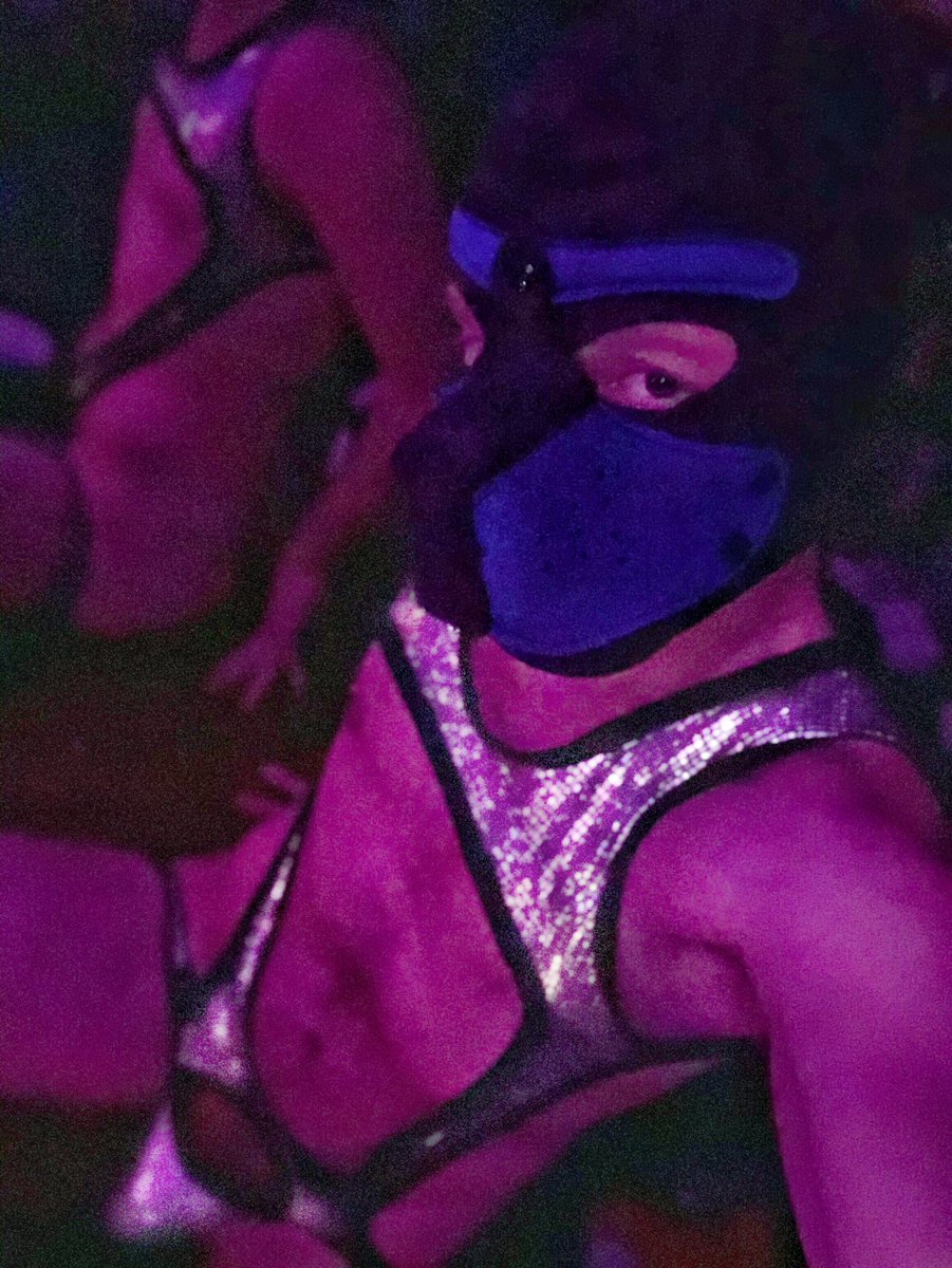 PupHurricane's tweet photo. In a fun, energetic, salacious mood tonight *woof* 🐶🌟
#pupplay #humanpup #gaypup #puppyplay #gaypuppy #humanpuppy #humanpupplay #puppypride #gaykink #gaypupplay #puppykink #puppyfetish #gay #gayboy #gayfetish #puppypride #gaywolf #gaypride #sexygay #gaytwink https://t.co/wtrdL8JMVQ