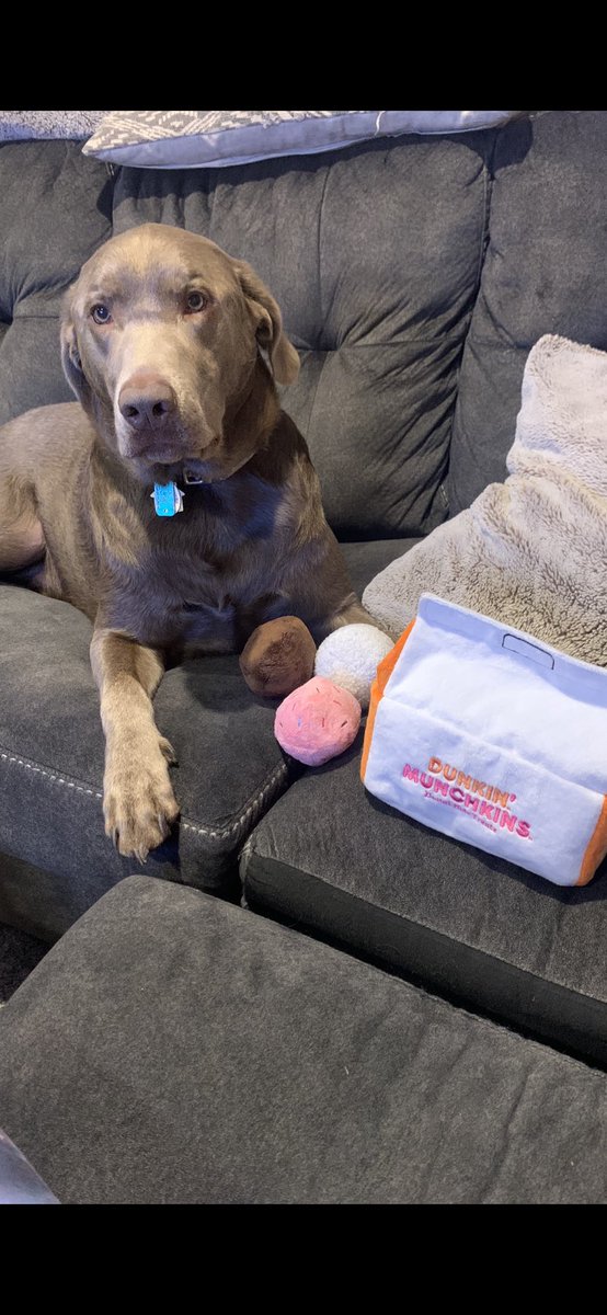 Madison Distasio tweet media