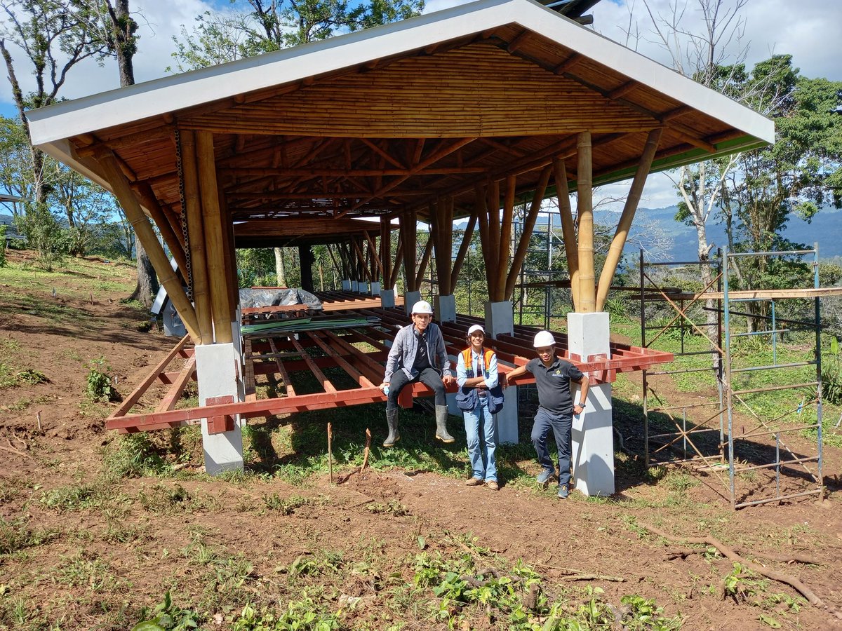 GRUPO BAMBUKSA tweet media