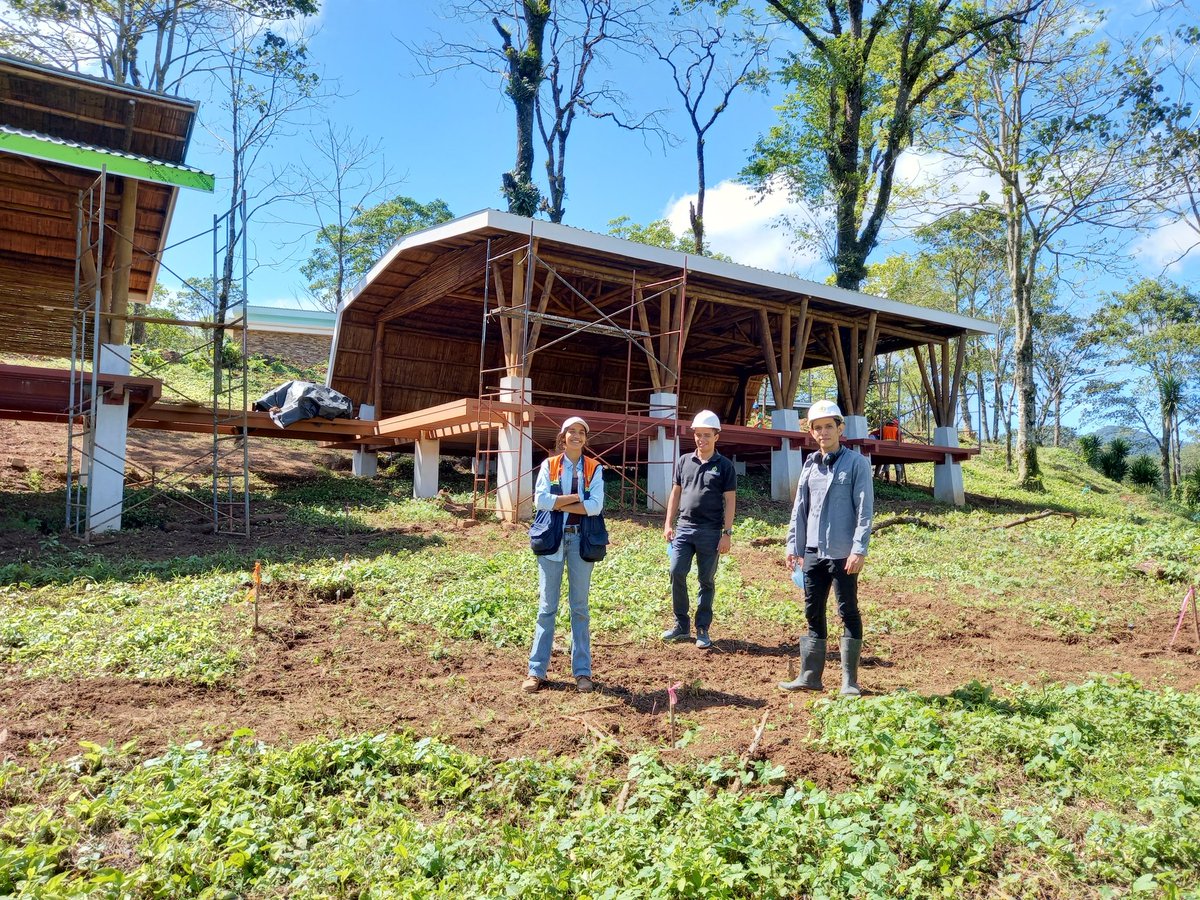 GRUPO BAMBUKSA tweet media