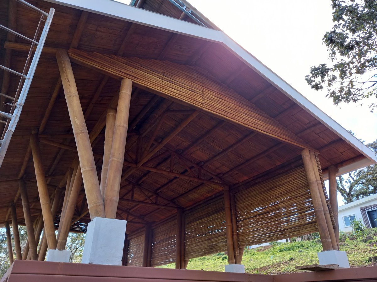 GRUPO BAMBUKSA tweet media