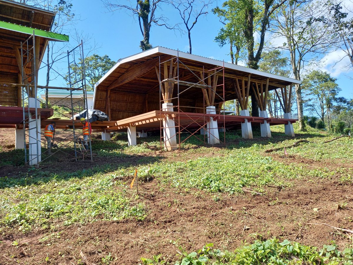 GRUPO BAMBUKSA tweet media