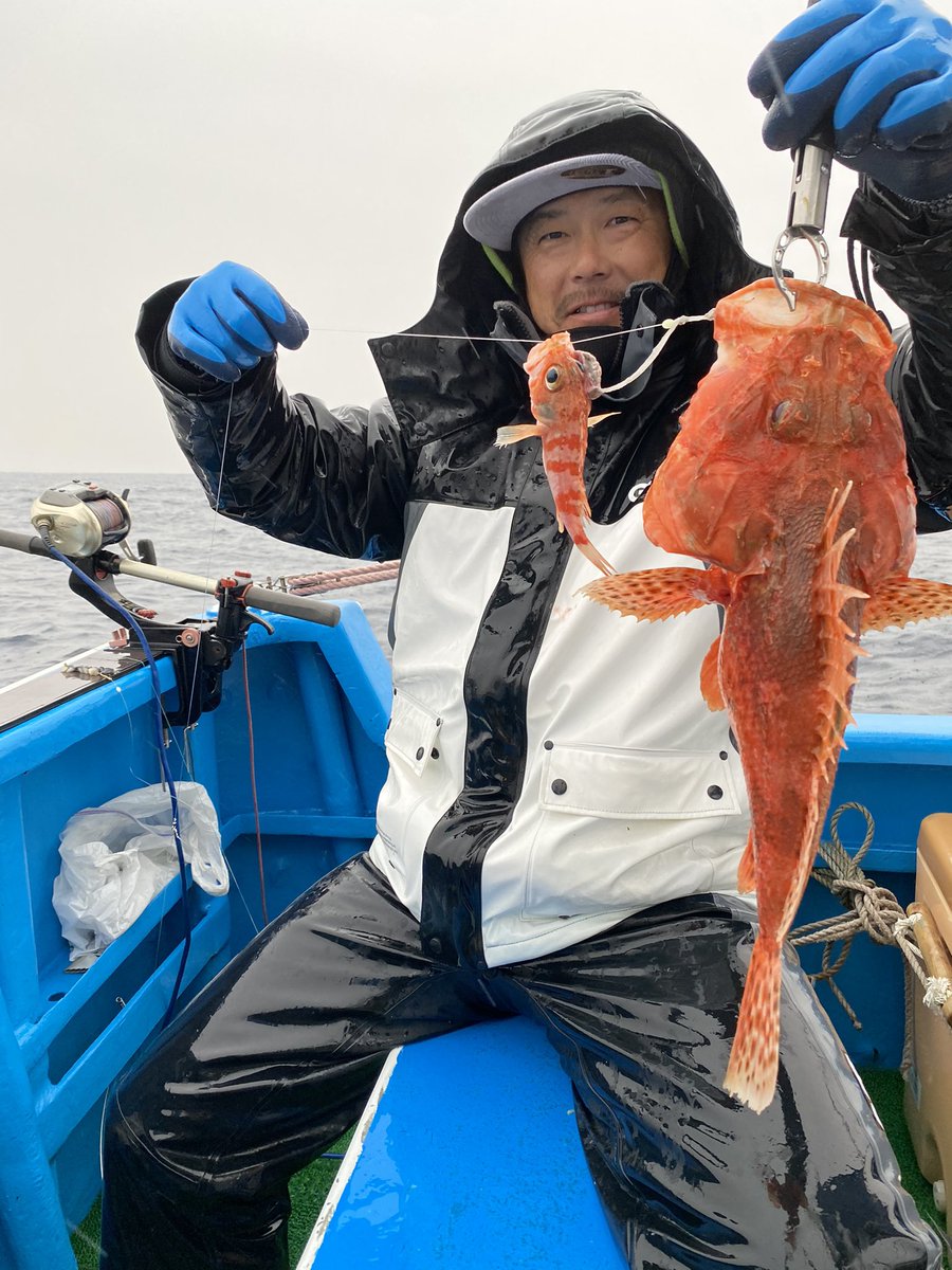 釣り船布子丸 サメが入れ食い 間にオニカサゴと目鯛