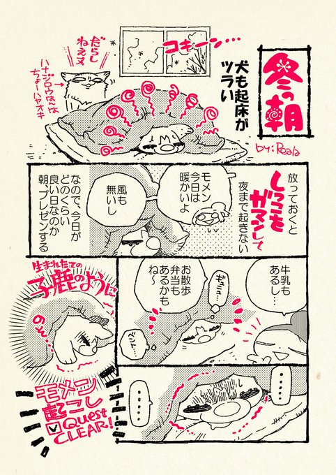 犬も冬眠モードです。
#ハナモメーンズ #田舎ぐらしのハナとモメン 
