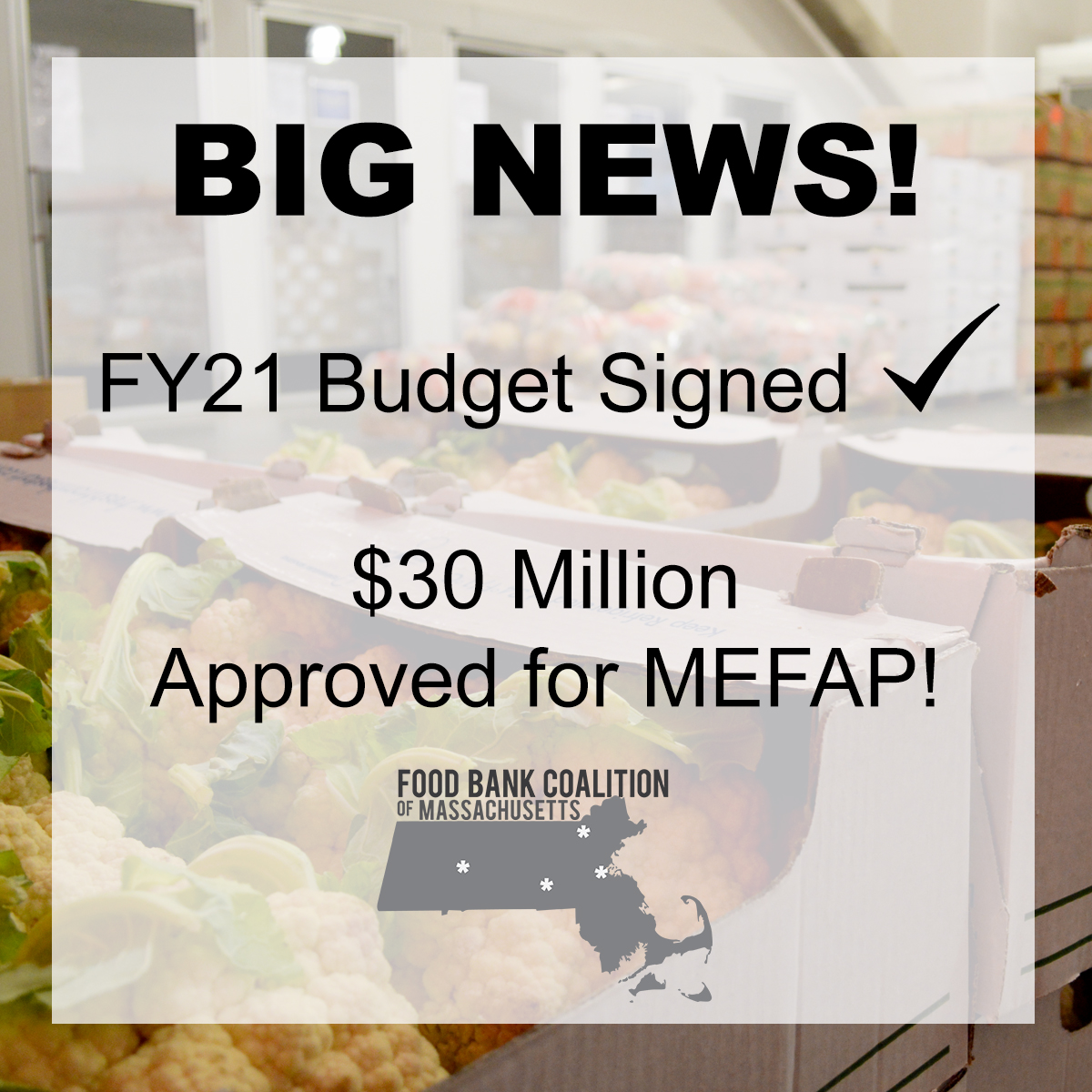 Gr8BosFoodBank's tweet photo. TY @MassGovernor for $30M in the FY21 budget! $10M more for food purchasing is a vital lifeline for the nearly 1M food insecure GBFB, @MVFoodBank @FoodBankWMA @WorcCtyFoodBank are serving in MA. Thank you @EricLesser @RepAMF @KarenSpilka @SpeakerDeLeo @SenRodrigues @RepMichlewitz https://t.co/cI0ayydZrK