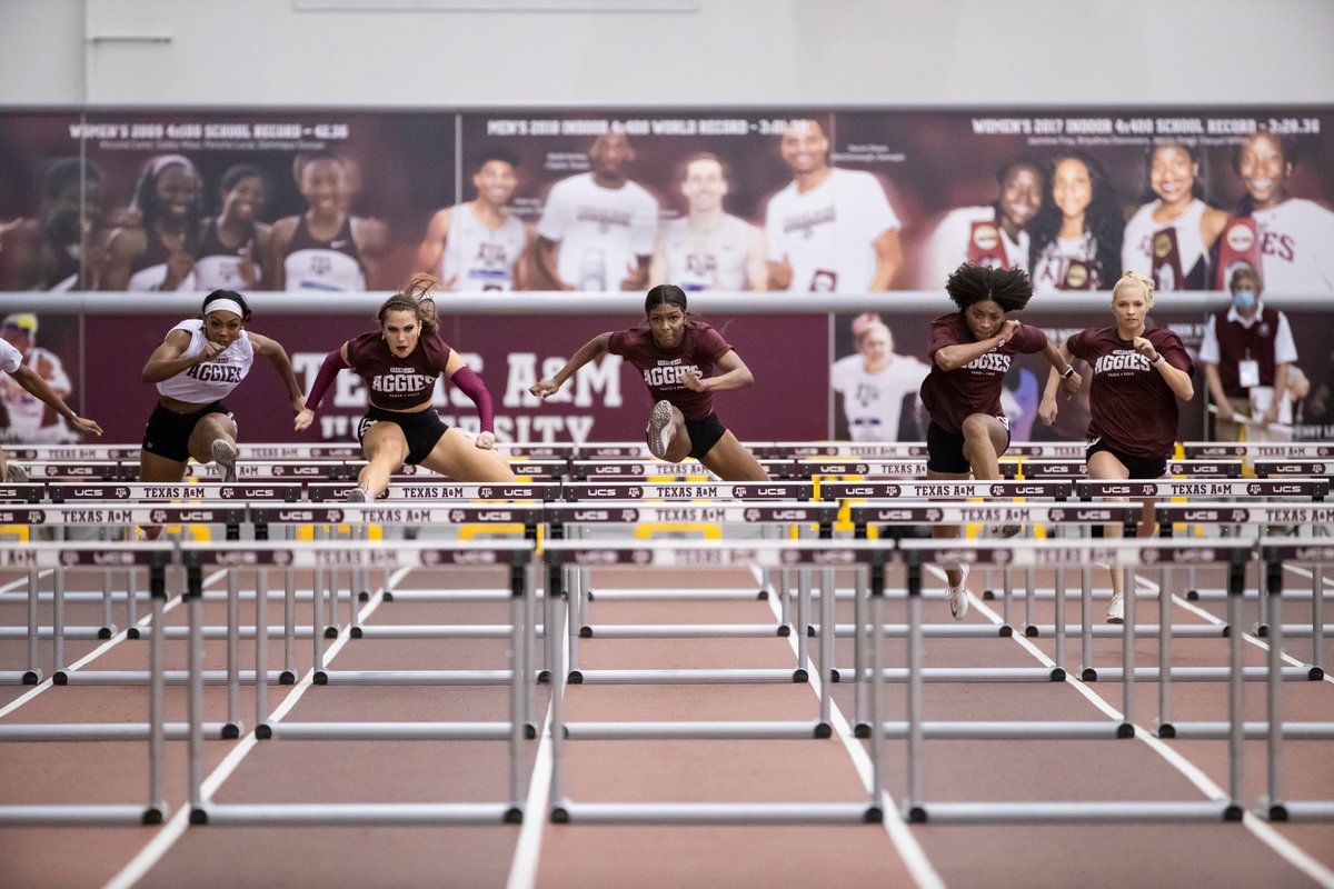 aggietfxc's tweet photo. Next time, it's the real thing. #GigEm https://t.co/XixZVin2CU