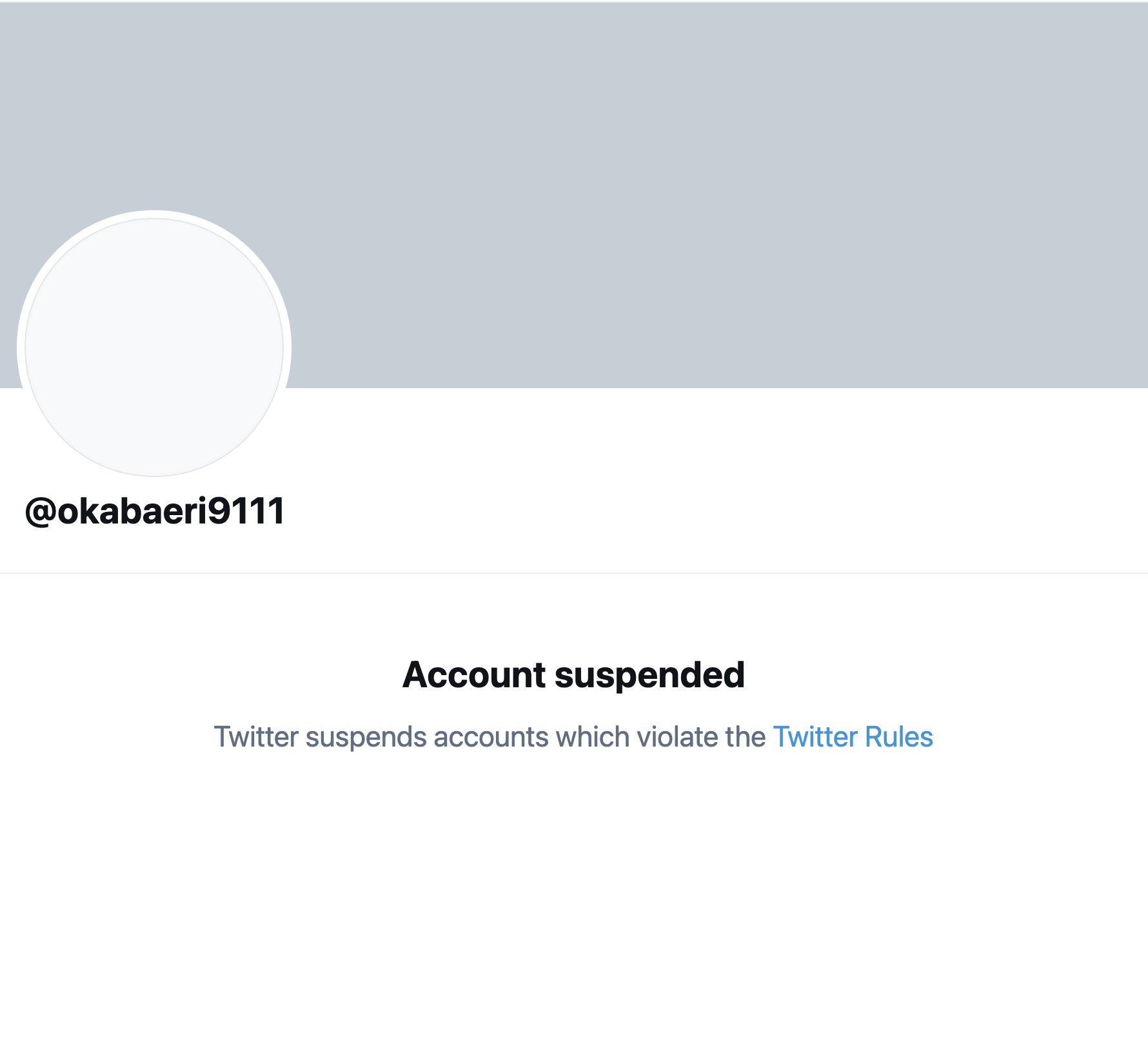 Shayan Sardarizadeh on X: Twitter has suspended Eri, the leader