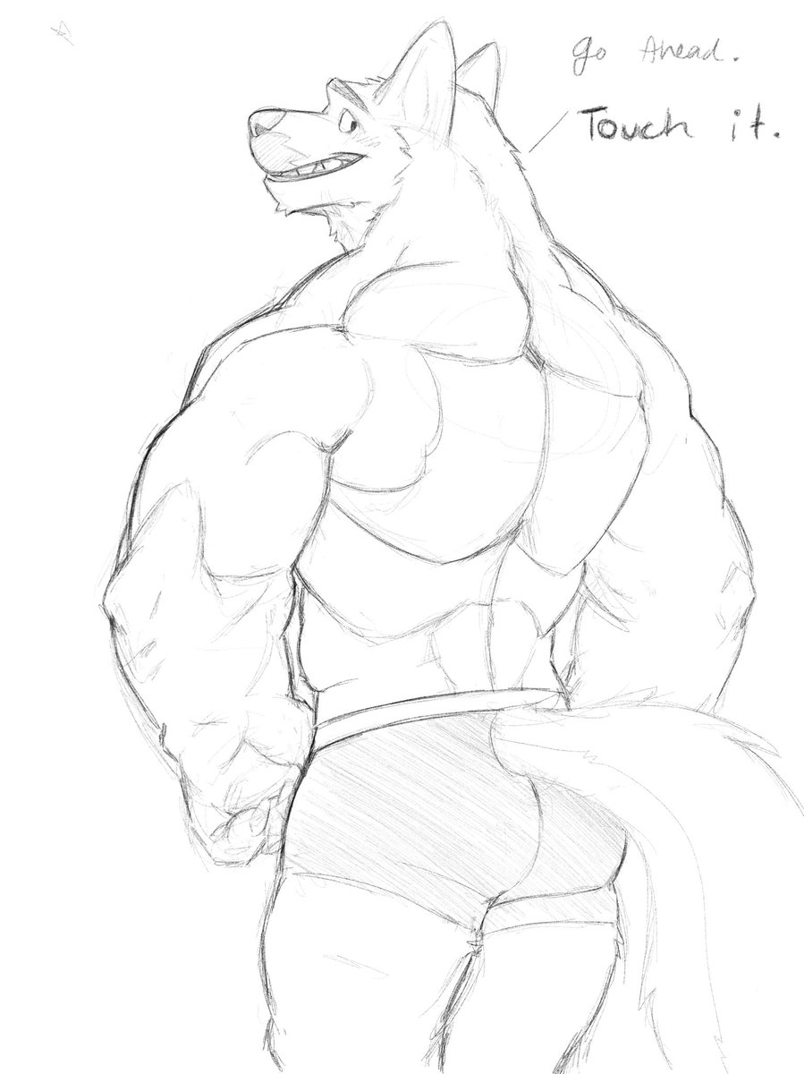 decker_the_wolf's tweet photo. https://t.co/eSUmS5bY5R