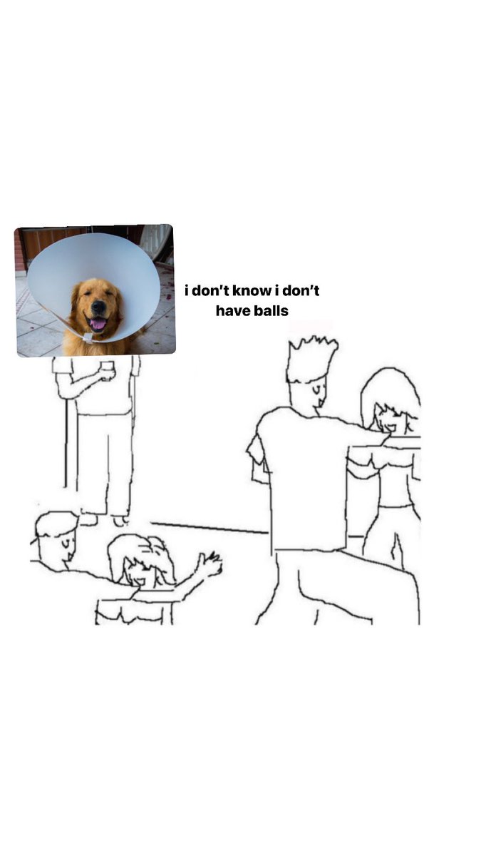 rebecccathomas's tweet photo. my dog after he gets fixed next month: https://t.co/ETjFe1TWYU