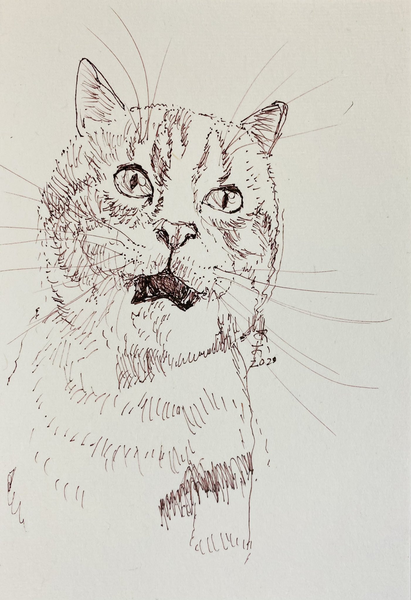 あおニャーマン ががーん 猫イラスト ねこ ネコ ペン画 猫の絵 猫好き 猫作家 作家 なまねこ 猫の国 絵本 画家 イラストレーター 動物画 イラスト T Co Eiczpijsjn Twitter