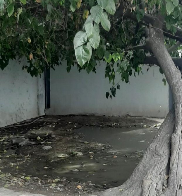 sideapa_gp's tweet image. 👷🏽‍♂️🚧 Personal del #Sideapa a petición de nuestra presidenta municipal @MarinaVitelaGP, apoyó de forma inmediata la tarde de este viernes, a la clínica del ISSSTE de Lerdo. Se realizó desazolve en el drenaje.

#NoTiresBasuralDrenaje🚯

Trabajamos todos los días para ti👷🏽‍♂️🛠️💧