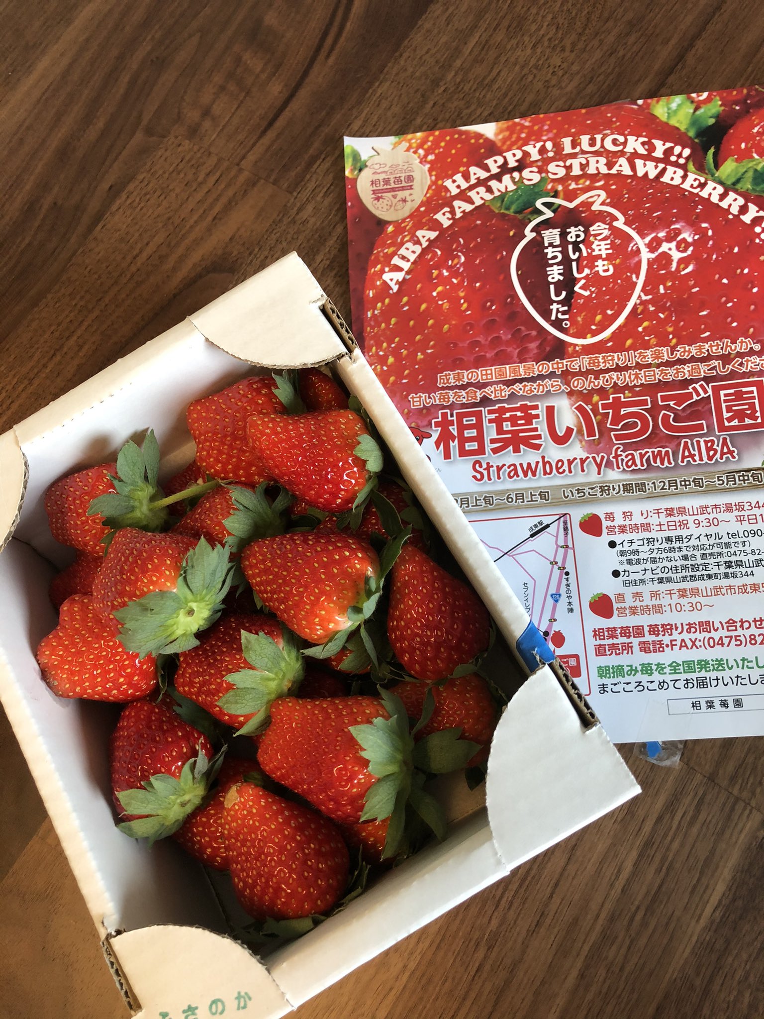 ここっち 苺 Get 相葉いちご園さんのキレイな苺