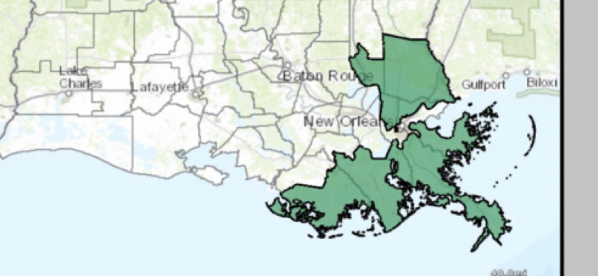  @SteveScalise didn’t like how certain states conducted their election. This is Steve’s district in Louisiana. Gerrymandered so hard it’s not even contiguous. It squirts the cities so carefully, guaranteeing Steve his seat. Maybe we should sue Louisiana.