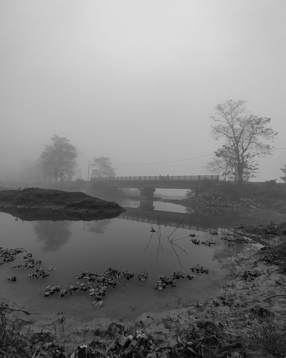 A bridge to winter!
.
.
[ Stay Alert, Wear a Mask]
#foggymorning #fog #morning #winteriscoming #Abhayapuri #Assam #অসম #blackandwhite #monochrome #monochromeindia #ShotOnMi #xhobdo