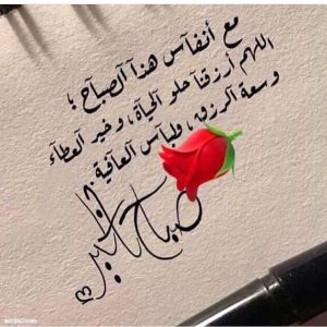 abo36fares's tweet photo. #صباح_الخير https://t.co/45Bw6OgIU1