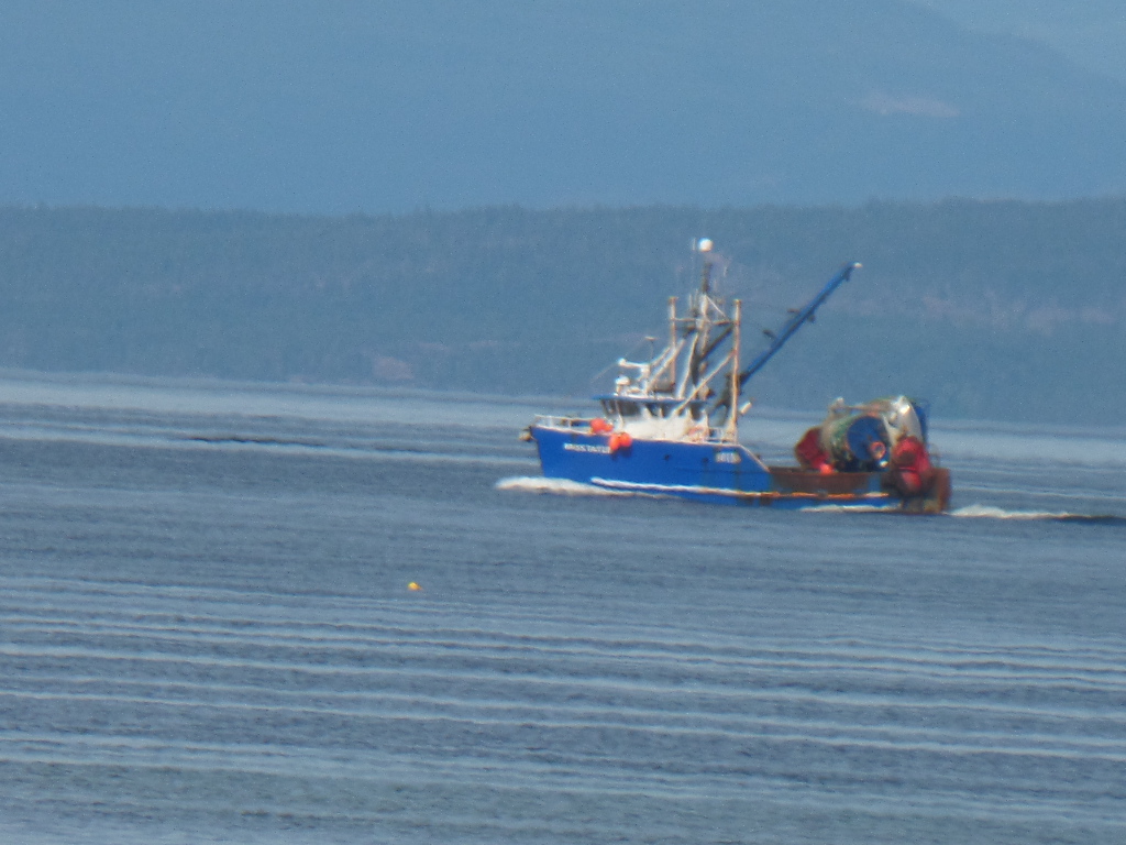 Estevan Tuna Corp. tweet media
