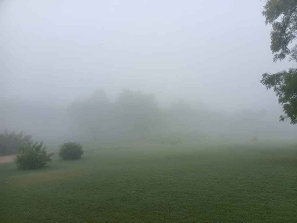 Today Morning Views of World Heritage <a href="/RaniKiVav/">Rani Ki Vav</a> at <a href="/PatanCity/">Patan City - પાટણ</a>