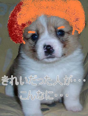 みんな星になってしまえ Twitter Search Twitter