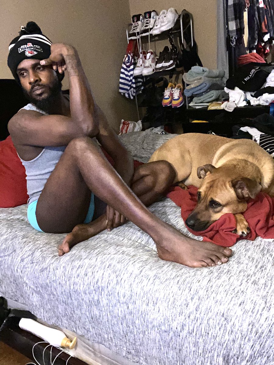 dapooch84's tweet image. 