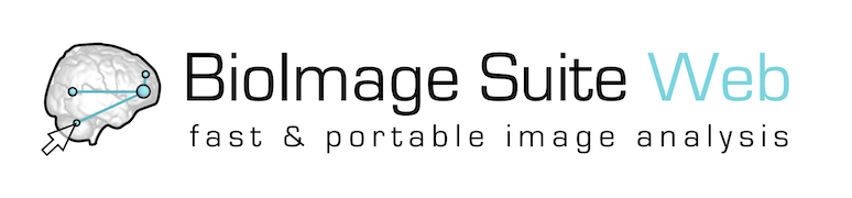 brainhackorg's tweet photo. Project.16. Try BioImage Suite Web, a modern and powerful software for neuroscience by Dustin Scheinos, Xenios Papademetris @sNeuroble @JDadashkarimi @brainhackNY
#brainhckNY
https://t.co/eb9bdeuhTu
#brainhackglobal2020 π§ ππ©πΏβπ¬π©πΏβπ»π©π½βπ»π§πΌβπ» https://t.co/8CtkjF5d9D
