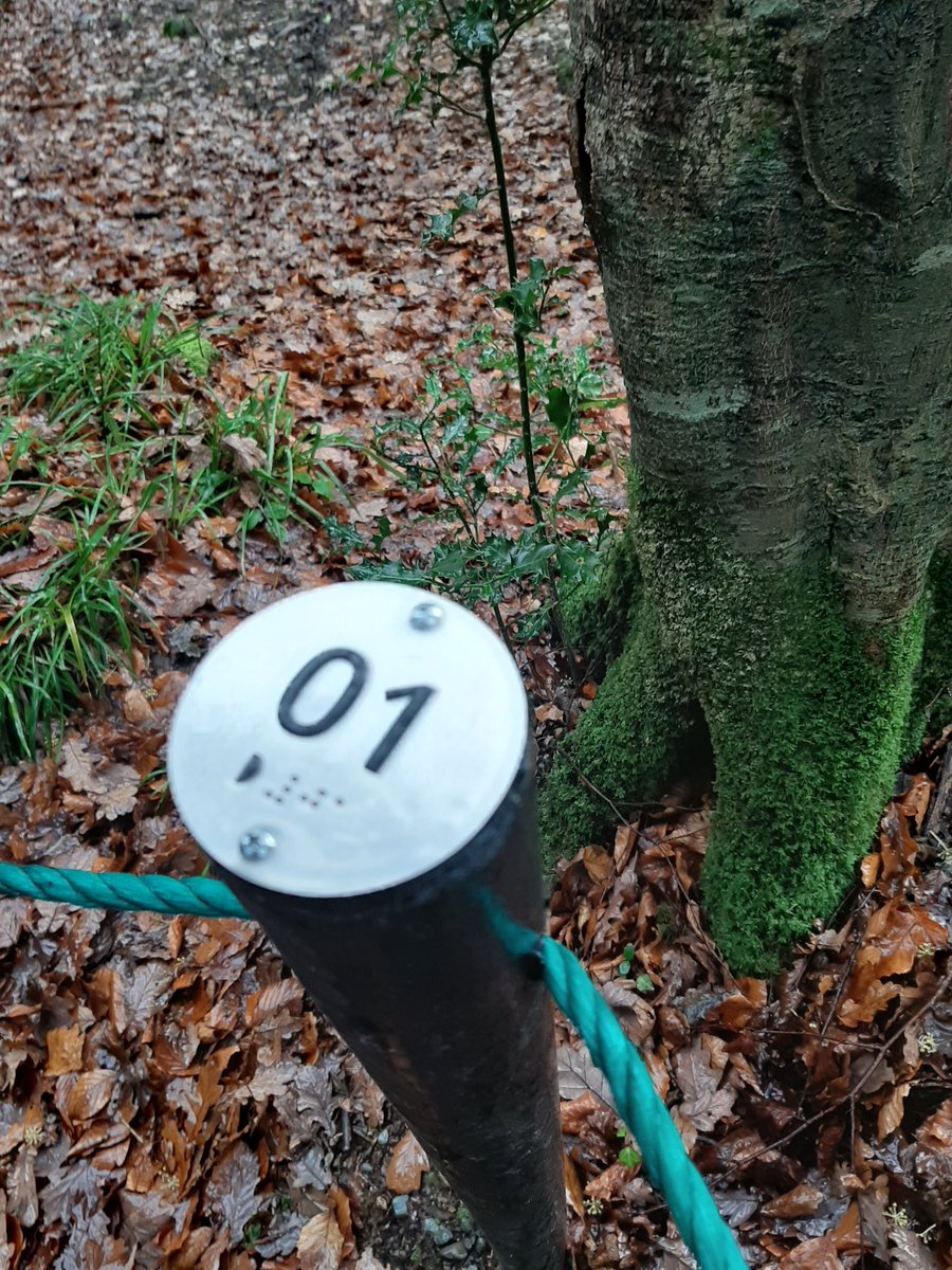 Malcolm Noonan tweet media