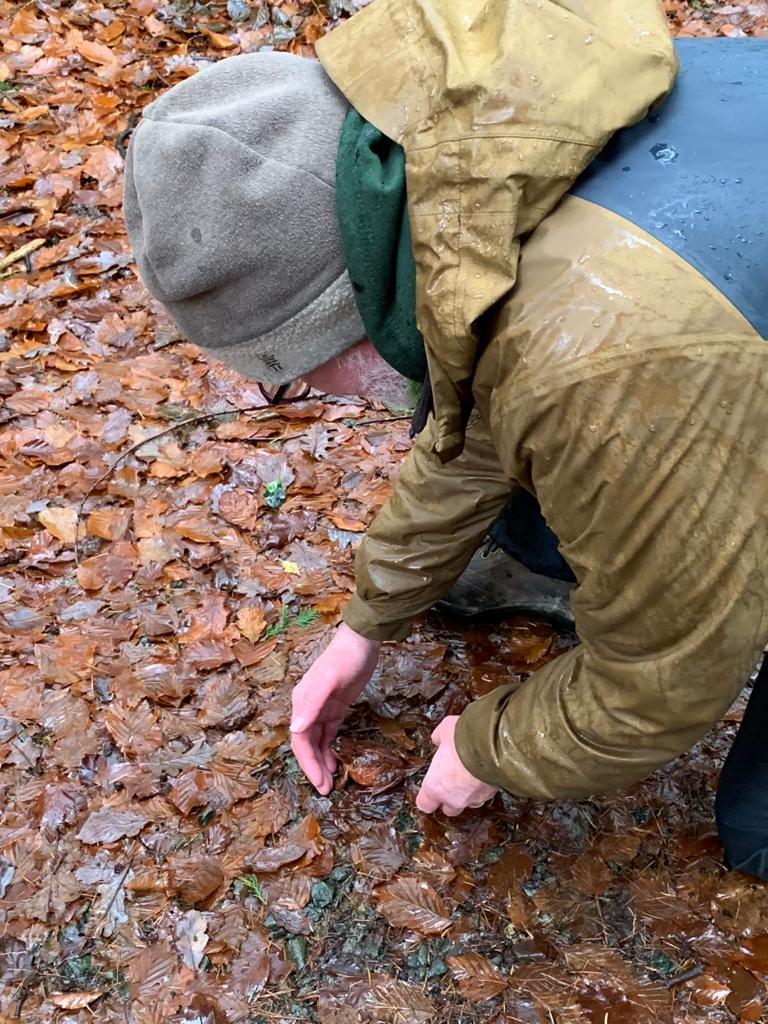 Malcolm Noonan tweet media