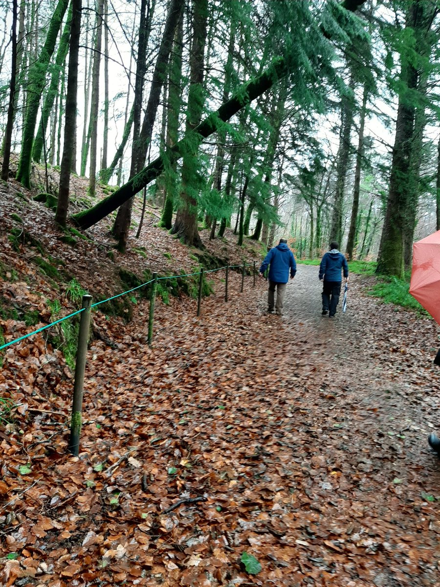 Malcolm Noonan tweet media