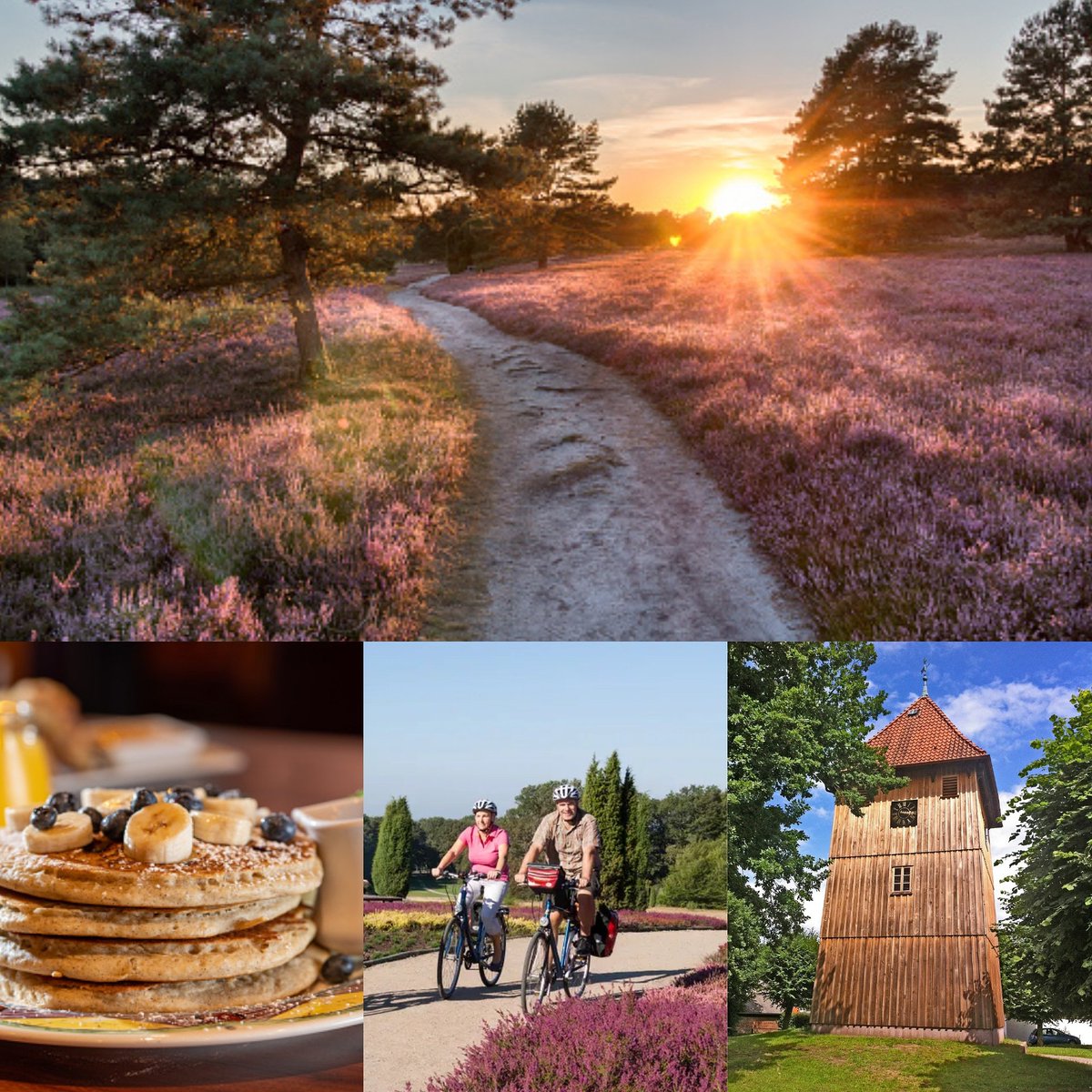 ActiveonHoliday's tweet photo. ‼️Nieuw en nu boekbaar voor 2021‼️
Sterreis Lüneburger Heide. Verblijf 6 dagen in 4**** landhotel Schnuck. Ontdek de geheimen van de heide en geniet van regionale specialiteiten, actief en ontspanning in één vakantie.
#activeonholiday #fietsvakanties 
https://t.co/RTWTSF7dRs https://t.co/sxWhJE5Fss