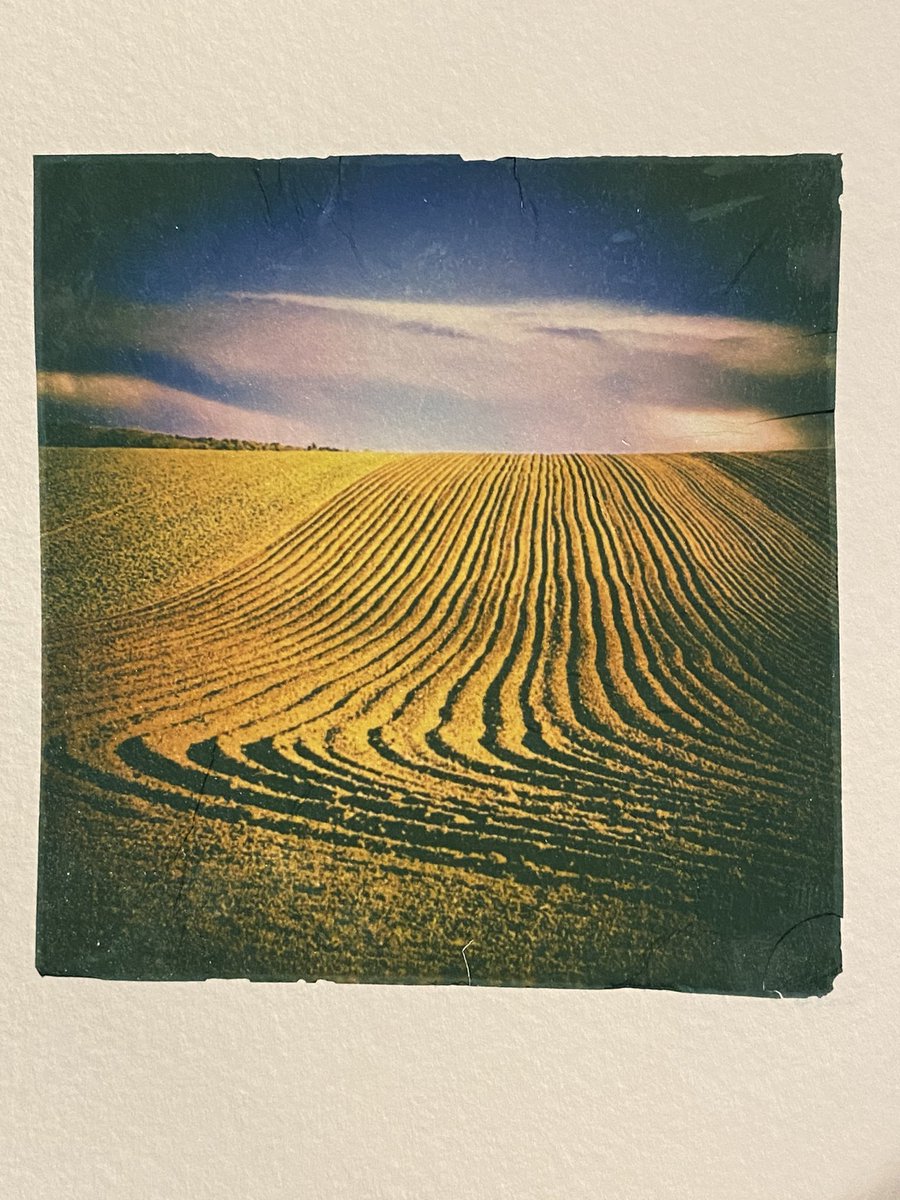 AngelGurriaQ's tweet photo. Been doing some @Polaroid emulsion lifts...
#cambridge #wandlebury #gogmagog #filmisnotdead #photography #polaroid #ThisIsCambridge https://t.co/78LWRxeaiN